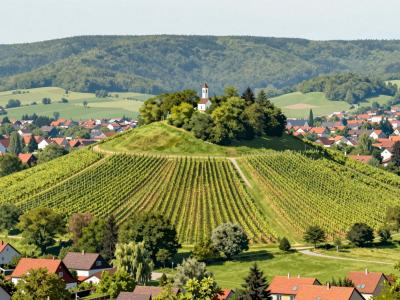 AI-generated illustration of the Forests and vineyards of Pekrska Gorca, a vine-striped green hill with a small summit church on the outskirts of Maribor