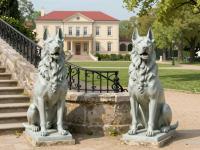 Metal Guard Dogs Sculptures