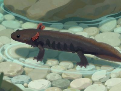 AI-generated illustration of the black olm (Proteus anguinus parkelj), the dark cave salamander with red gills endemic to springs near Črnomelj