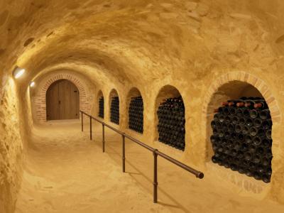 AI-generated illustration of Repnice Najger, a traditional wine cellar hand-dug into golden silica sand, with arched niches stacked with wine bottles