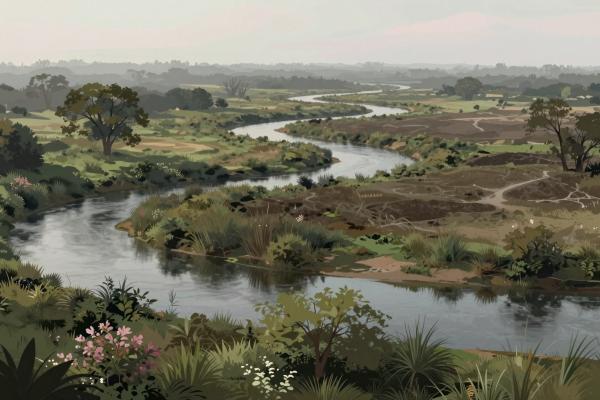 Winding Rivers