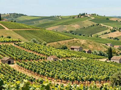AI-generated illustration of Wine Routes of Jeruzalem