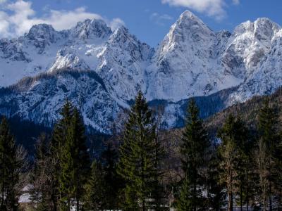 Breathtaking view of snow-covered mountains and evergreen conifers in Kranjska Gora, Slovenia.