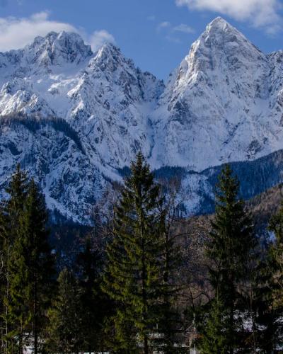 Breathtaking view of snow-covered mountains and evergreen conifers in Kranjska Gora, Slovenia.