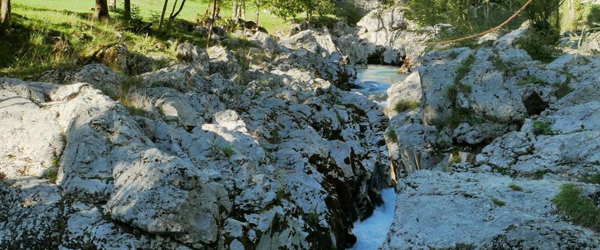 River of Trees Trail