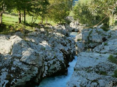 A picturesque view of the Soča River with rocky rapids surrounded by lush forest in Slovenia.