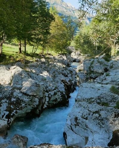 A picturesque view of the Soča River with rocky rapids surrounded by lush forest in Slovenia.