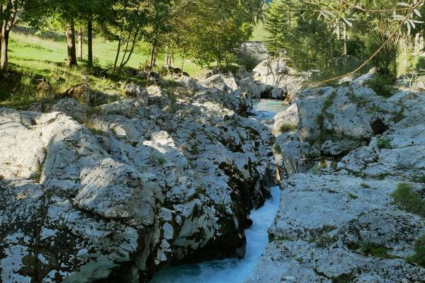 River of Trees Trail