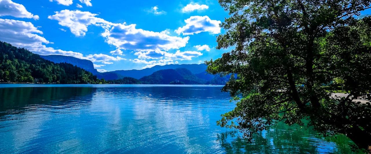 Beautiful scenic view of Lake Bled with clear blue water and lush greenery in Slovenia under a bright sky.