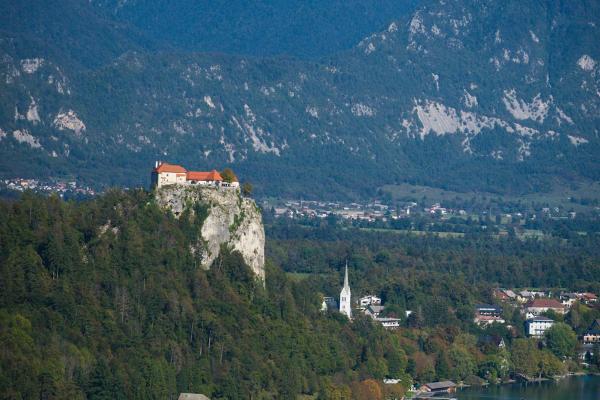 Specialty Museums (including history museums and art galleries in the renovated annex of the former stables of Ravne Castle)
