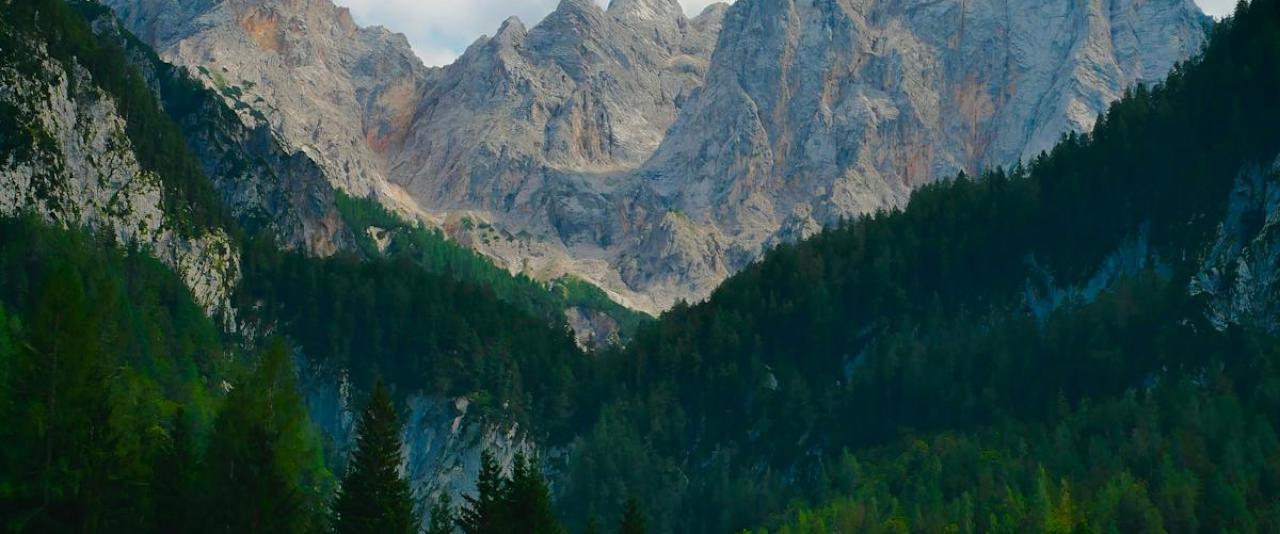 Scenic view of towering mountains in Kranjska Gora, Slovenia with lush forests.