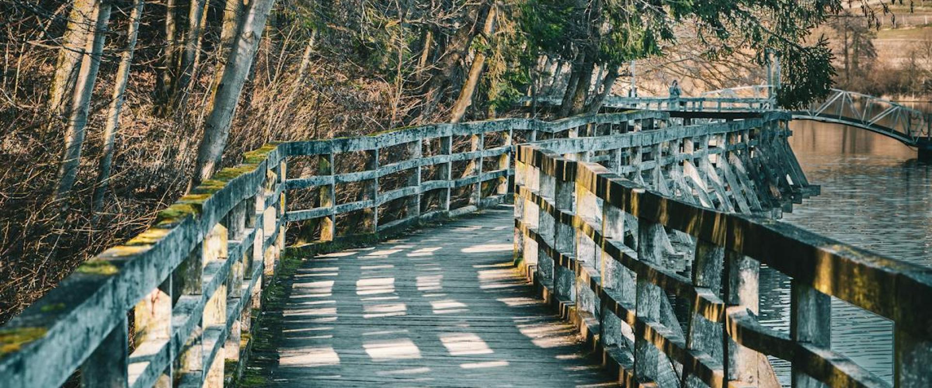 Ljubljana’s Summer Jazz Evenings