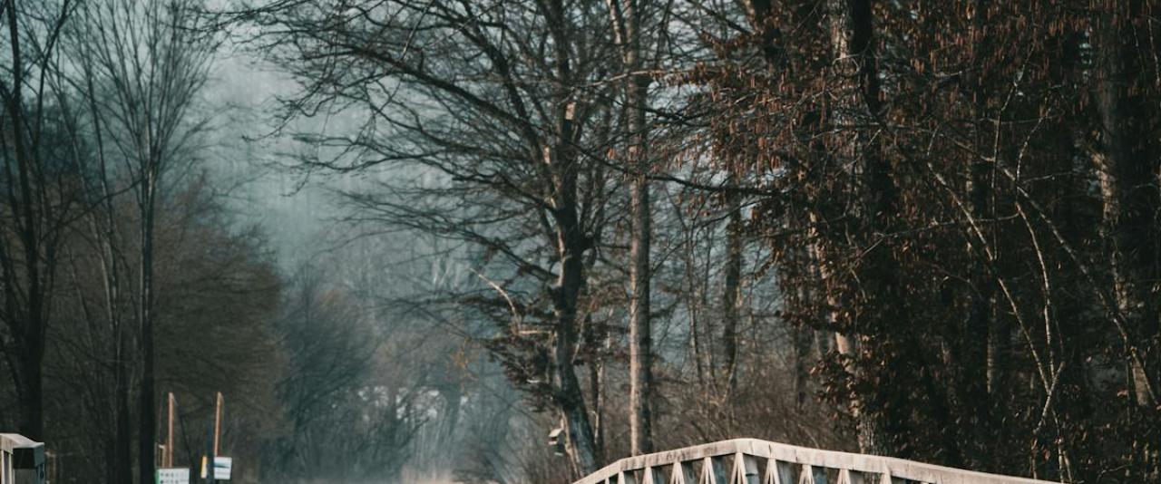 Tranquil winter scene featuring a walkway and bridge in Kamniška Bistrica, Slovenia, inviting peaceful exploration.