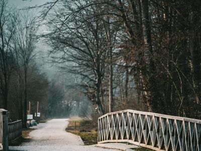 Tranquil winter scene featuring a walkway and bridge in Kamniška Bistrica, Slovenia, inviting peaceful exploration.