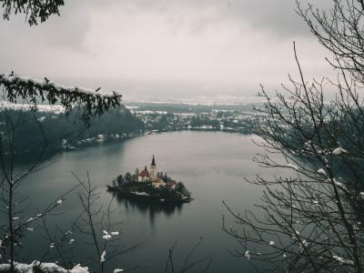 Captivating serene view of an island church on Lake Bled surrounded by snow-covered trees in winter.