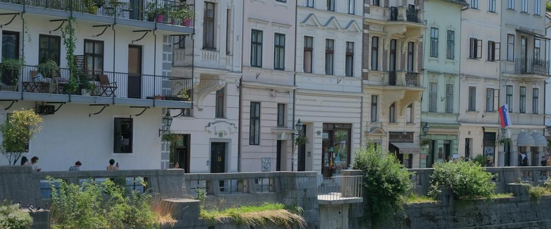 Peaceful Campsite by the River