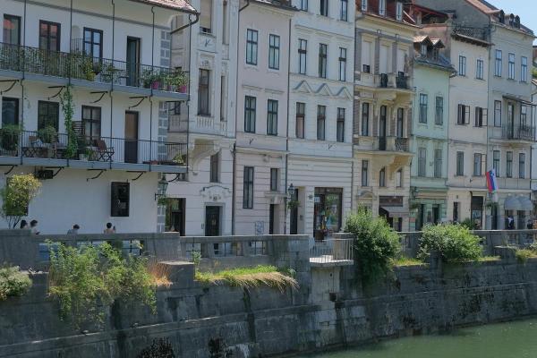 Peaceful Campsite by the River