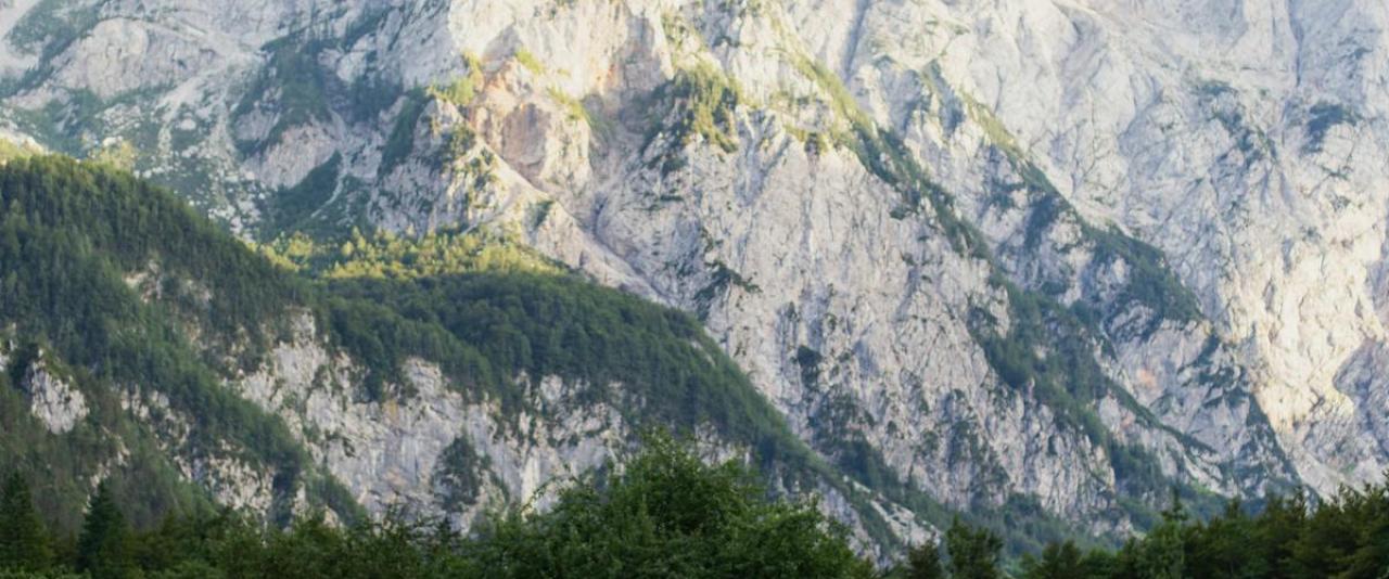 Serene view of alpine meadows against the dramatic mountains of Slovenia.