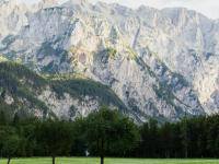 Springtime Wildflower Walks in Slovenia