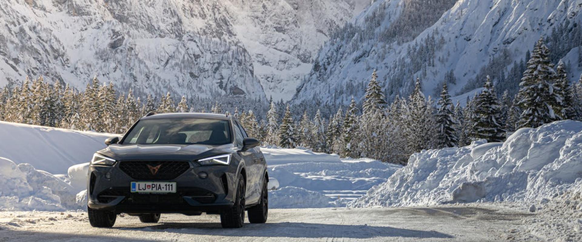 Sports Clubs (over 60) and Training Disciplines (over 50)