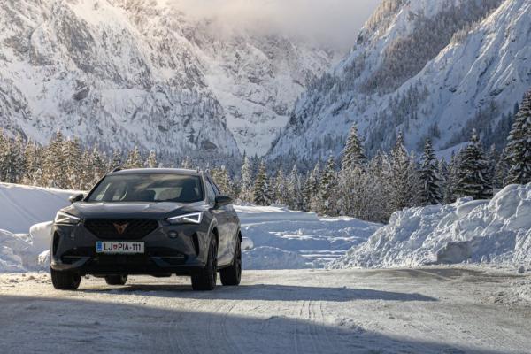 Sports Clubs (over 60) and Training Disciplines (over 50)