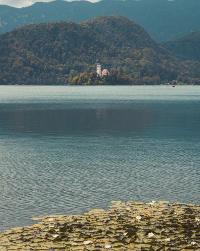Tranquil lake scene with Church of the Assumption on Bled Island, Slovenia.