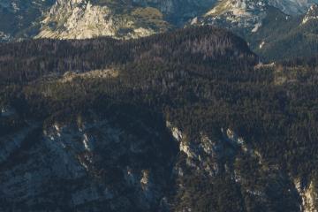 Majestic mountain scenery in Radovljica, Slovenia with lush forests and clear skies.