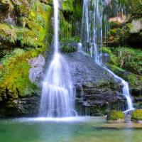 Elegant cascade of Virje Waterfall, surrounded by lush greenery in Tolmin, Slovenia. Perfect for nature lovers.