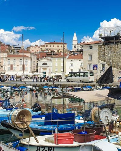 Vibrant harbor in Piran, Slovenia featuring boats and historic architecture under a clear blue sky.