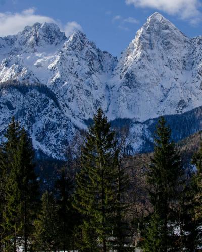 Breathtaking view of snow-covered mountains and evergreen conifers in Kranjska Gora, Slovenia.