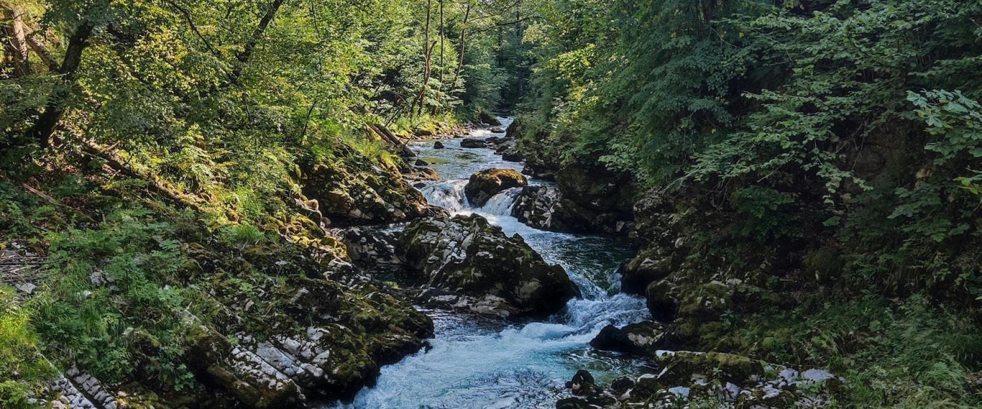 Bohinjska Bela