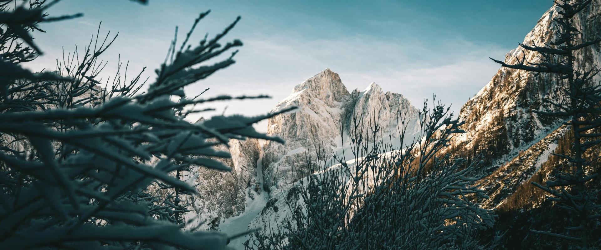 Winter Wonderland