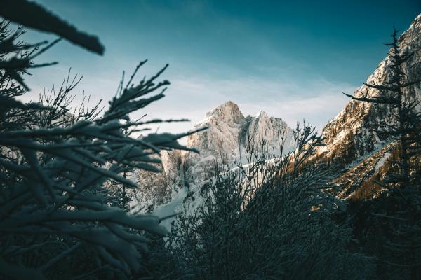 Winter Wonderland