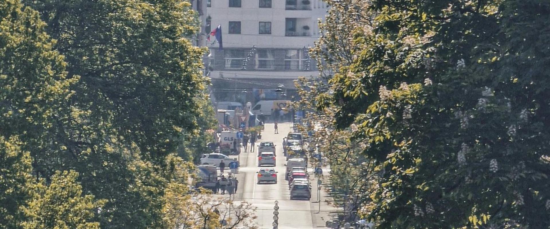 Aerial view of Ljubljana's cityscape with trees lining the streets and historic architecture.