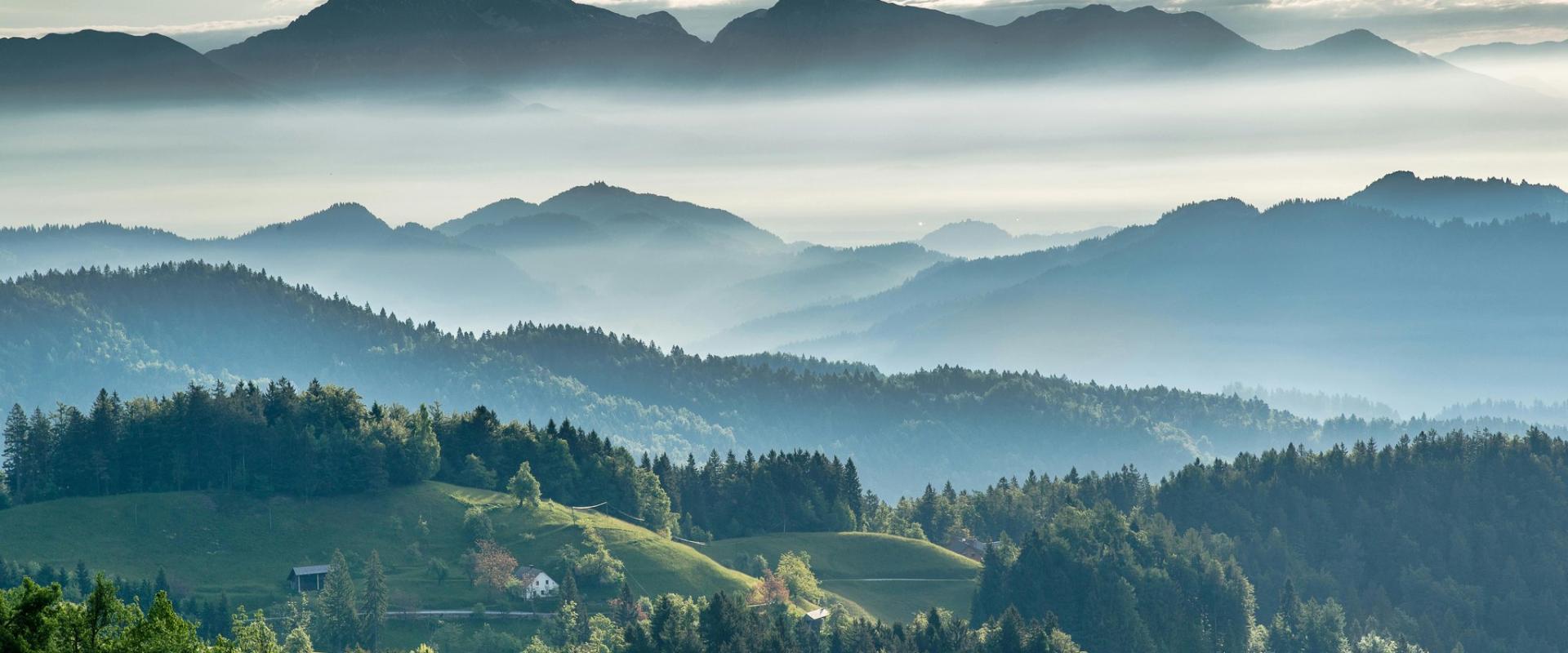 The Art of Slovenian Beekeeping