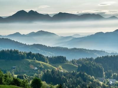 The Art of Slovenian Beekeeping