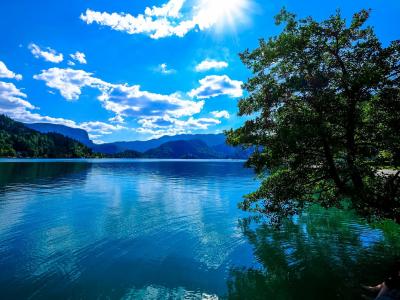 Beautiful scenic view of Lake Bled with clear blue water and lush greenery in Slovenia under a bright sky.