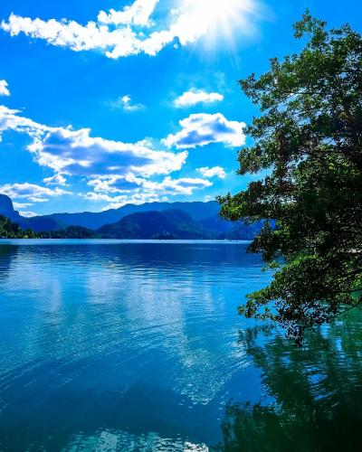 Beautiful scenic view of Lake Bled with clear blue water and lush greenery in Slovenia under a bright sky.
