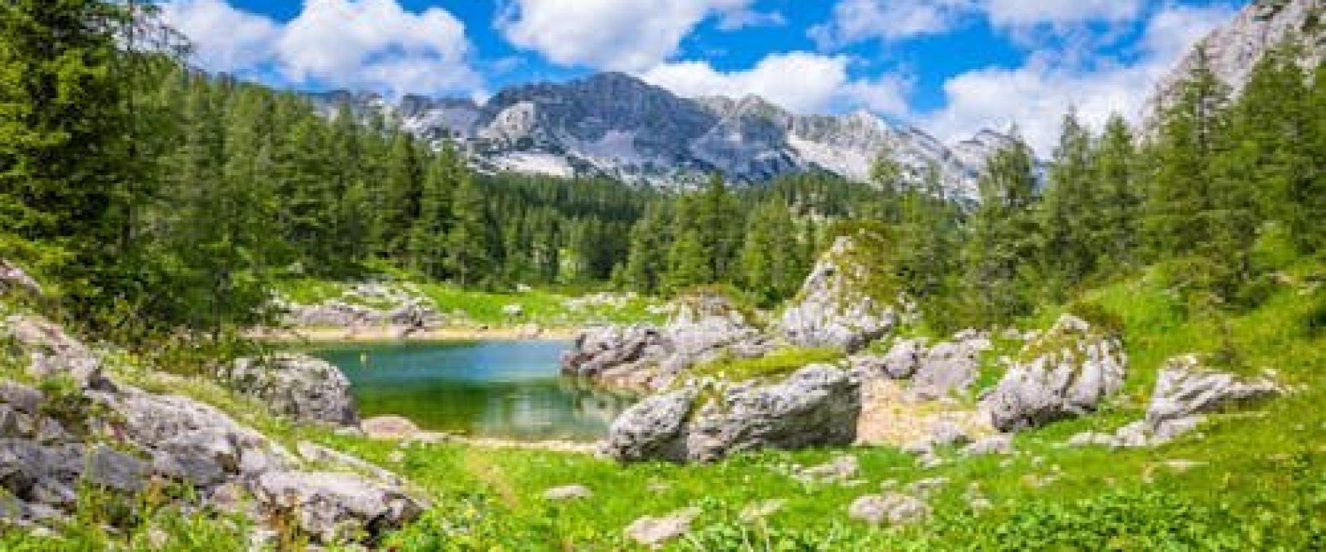 Free Stunning view of a serene mountain lake surrounded by lush greenery in the Julian Alps, Slovenia. Stock Photo