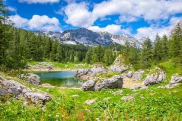 Lakes & Rivers in Lake Bled