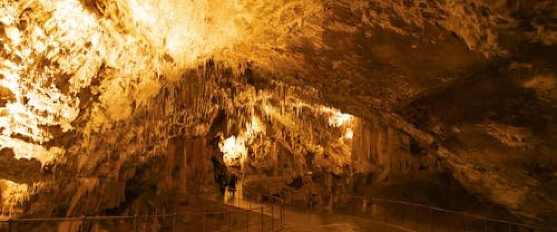 Postojna Cave