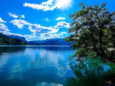 Free Beautiful scenic view of Lake Bled with clear blue water and lush greenery in Slovenia under a bright sky. Stock Photo