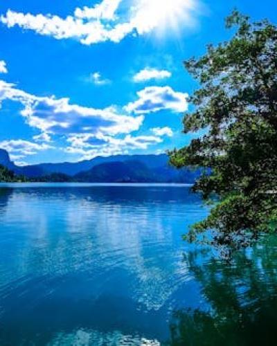 Free Beautiful scenic view of Lake Bled with clear blue water and lush greenery in Slovenia under a bright sky. Stock Photo
