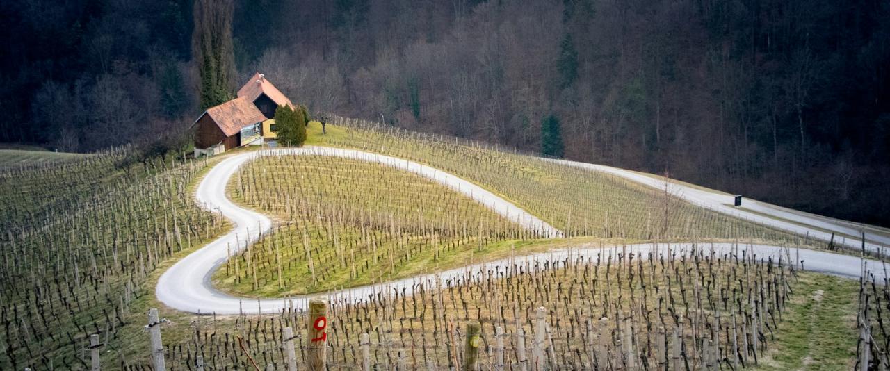 A winding road carved into the shape of a heart through dormant vineyards on a hillside, with a house and forest in the background.