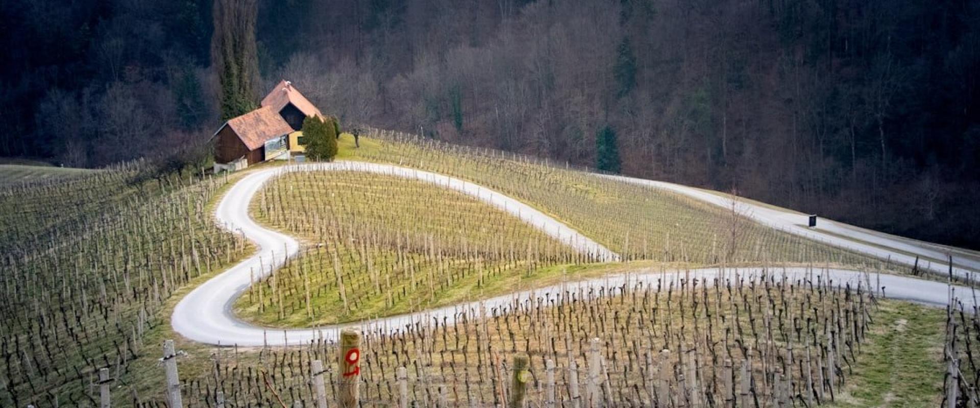 Slovenian Wine Routes