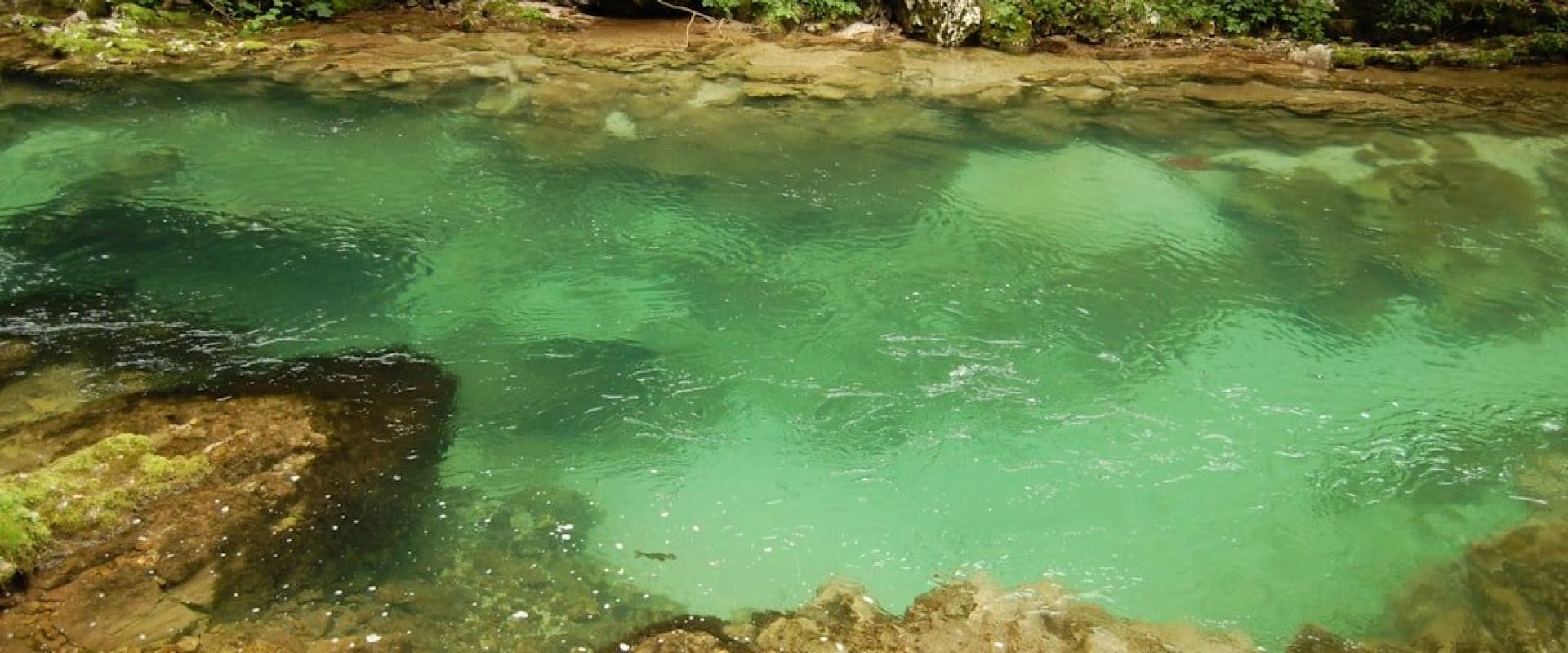 Svečica