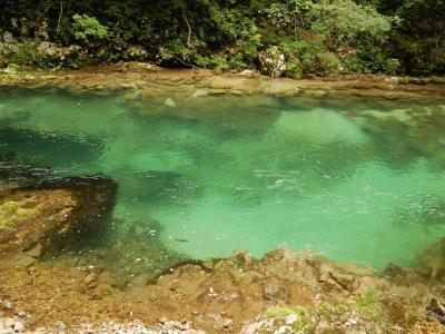 a body of water surrounded by trees and rocks