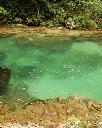 a body of water surrounded by trees and rocks