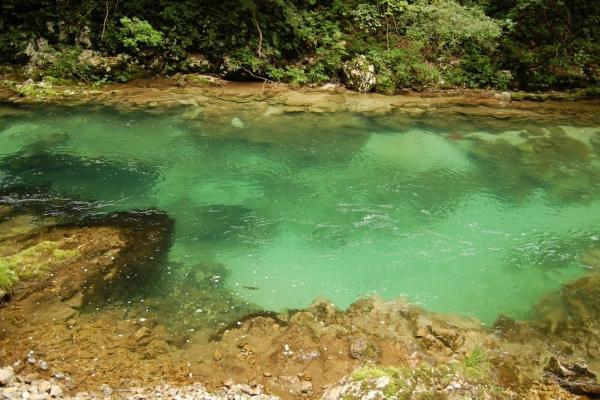 Svečica