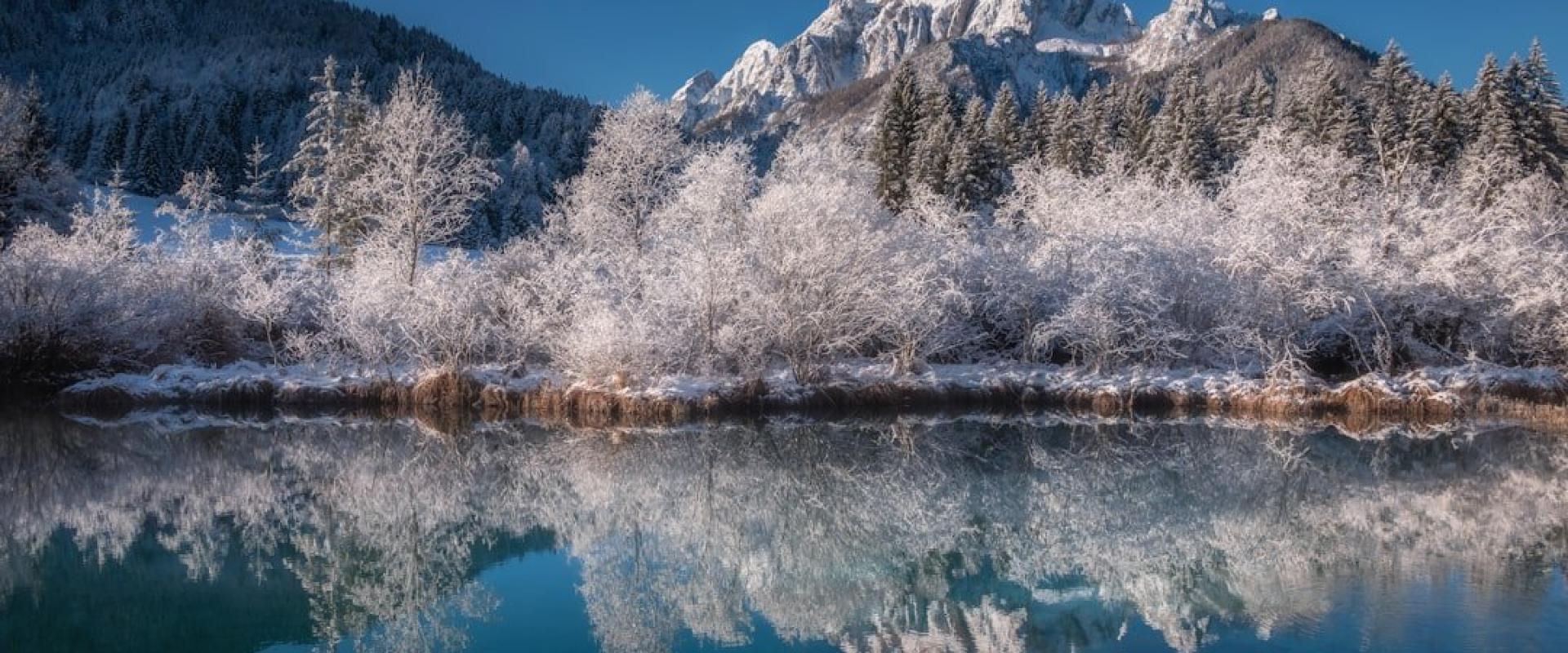Zelenci